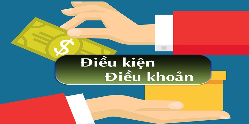 Tầm quan trọng vốn có của điều khoản và điều kiện